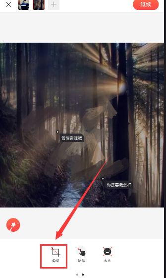 加拿大执政党赢得大选