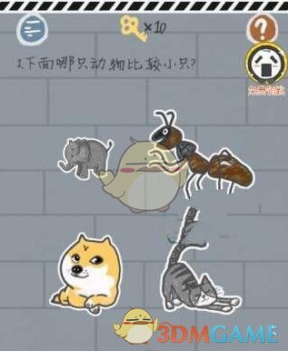 中国站冲刺赛冠军出炉